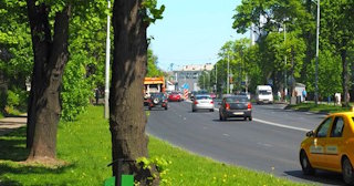 Посадка деревьев и кустарников в Ярцеве — стоимость от 1221 руб.